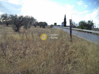 Οικόπεδο 12.203 τ.μ. για ενοικίαση, Αχαΐα, Αίγιο-thumb-3