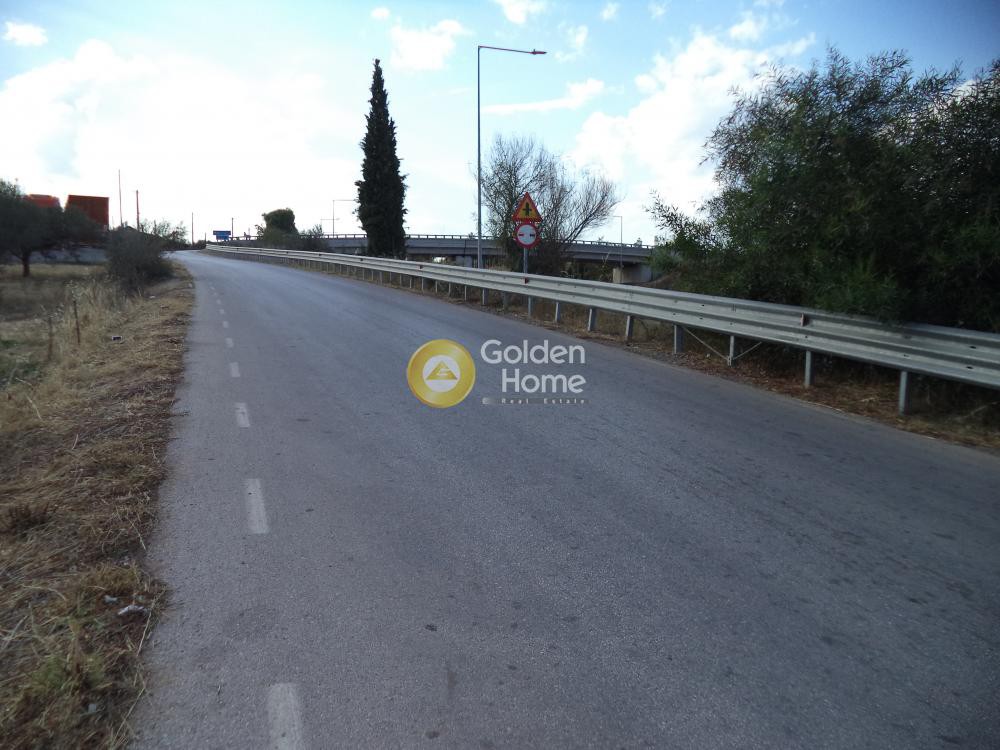 Οικόπεδο 12.203 τ.μ. πρός ενοικίαση, Αχαΐα, Αίγιο