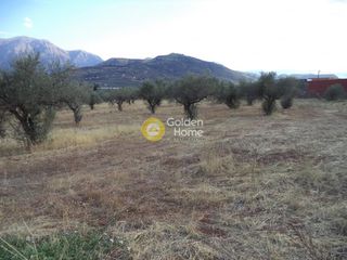 Οικόπεδο 12.203 τ.μ. για ενοικίαση, Αχαΐα, Αίγιο-thumb-6