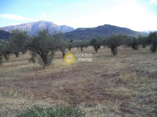 Οικόπεδο 12.203 τ.μ. για ενοικίαση, Αχαΐα, Αίγιο-thumb-7