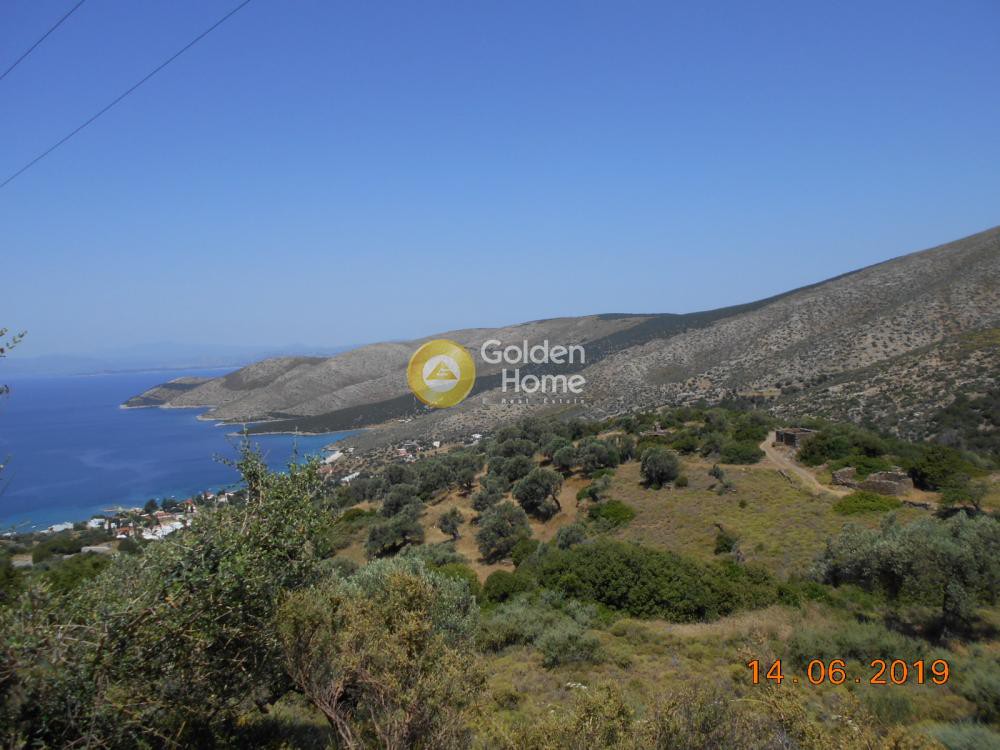 Οικόπεδο 13.500 τ.μ. προς πώληση, Νιμπορειό
