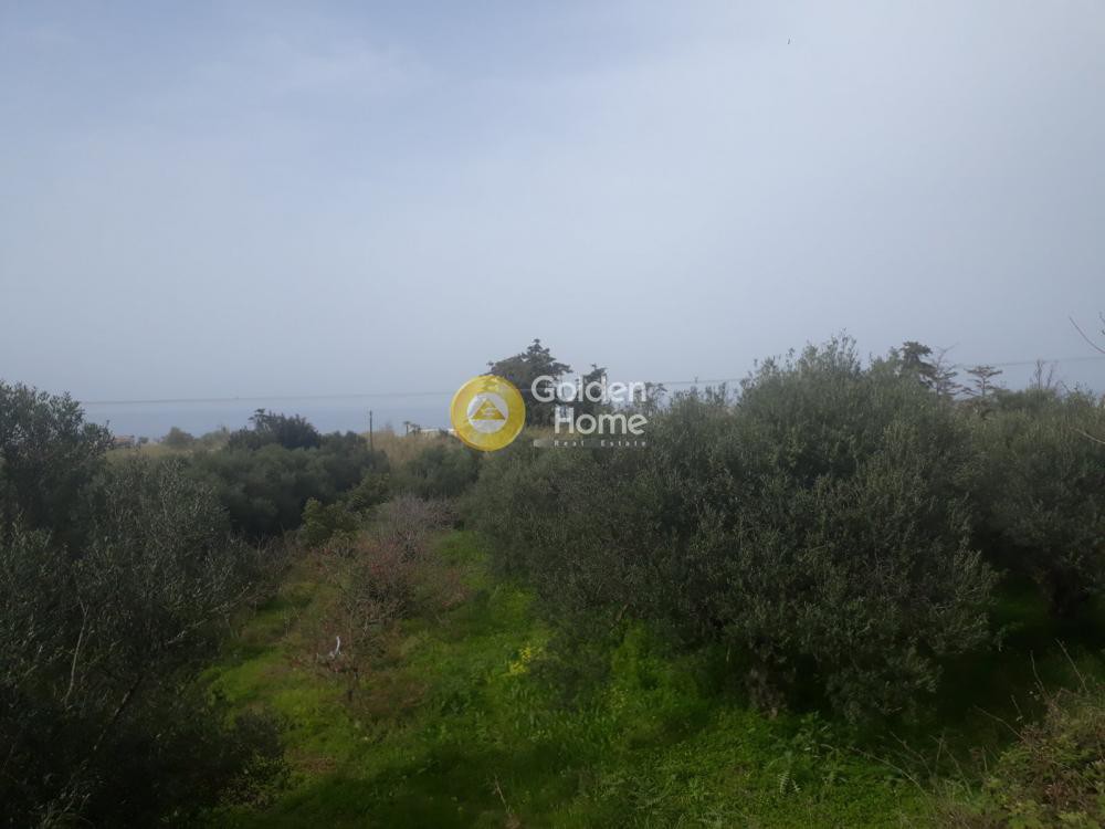 Αγροτεμάχια 3.830 τ.μ. προς πώληση, Παλαιό Γεράνι