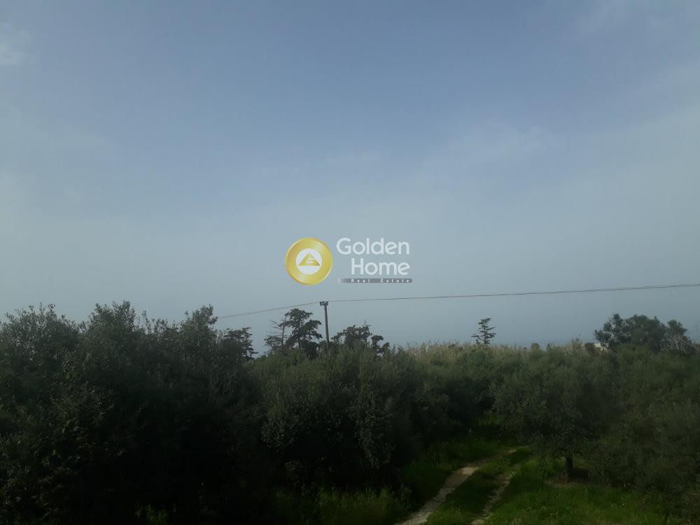 Αγροτεμάχια 3.830 τ.μ. προς πώληση, Παλαιό Γεράνι