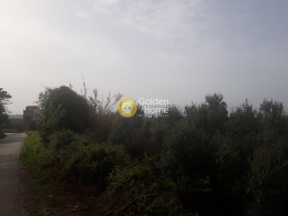 Αγροτεμάχια 3.830 τ.μ. προς πώληση, Παλαιό Γεράνι