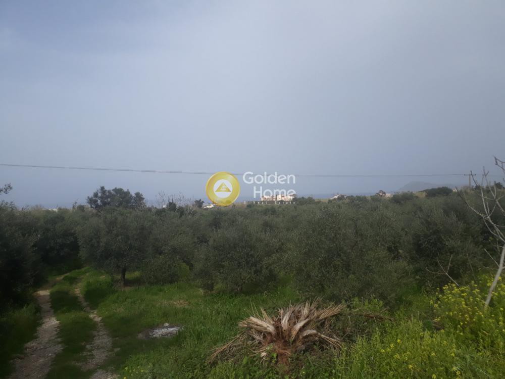 Αγροτεμάχια 3.830 τ.μ. προς πώληση, Παλαιό Γεράνι