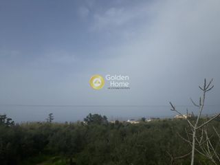 Αγροτεμάχια 3.830 τ.μ. για πώληση