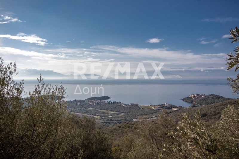 Αγροτεμάχια 11.360 τ.μ. πρός πώληση, Μαγνησία, Νέα Αγχίαλος
