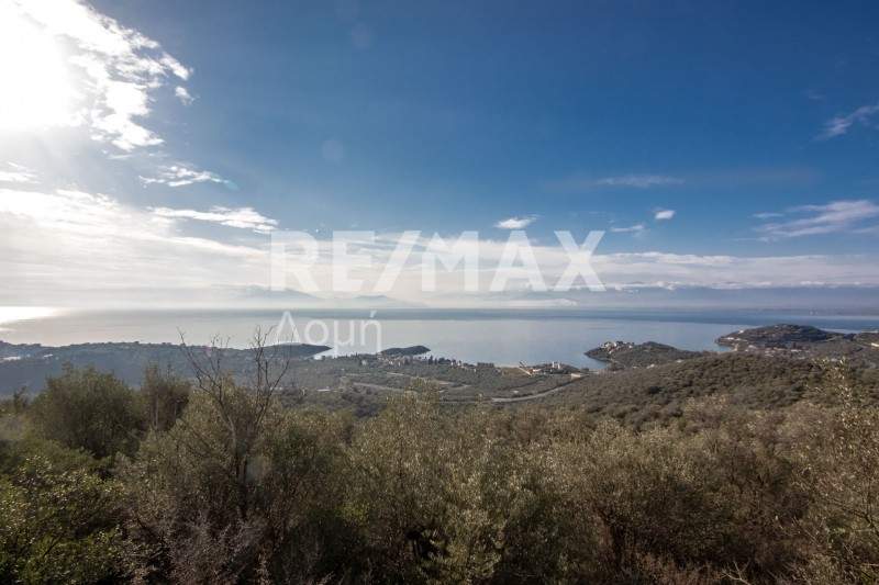 Αγροτεμάχια 11.360 τ.μ. πρός πώληση, Μαγνησία, Νέα Αγχίαλος