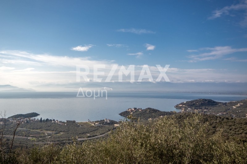 Αγροτεμάχια 11.360 τ.μ. πρός πώληση, Μαγνησία, Νέα Αγχίαλος