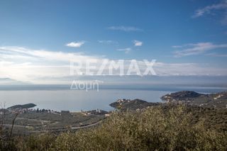 Αγροτεμάχια 11.360 τ.μ. για πώληση
