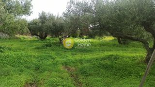 Οικόπεδο 1.220 τ.μ. για πώληση