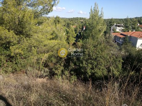 Land plot 800sqm for sale-Drosia