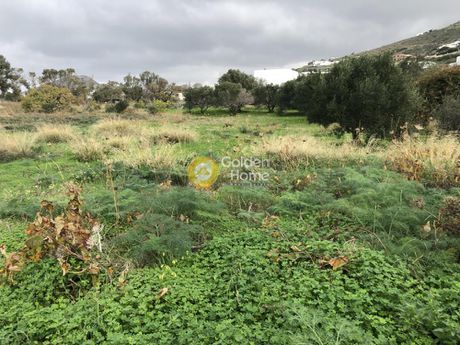 Αγροτεμάχια 6.000τ.μ. για πώληση-Πάρος » Παροικιά