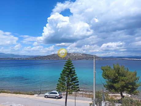 Επιχειρηματικό κτίριο 700τ.μ. για πώληση-Σαλαμίνα » Αιάντειο