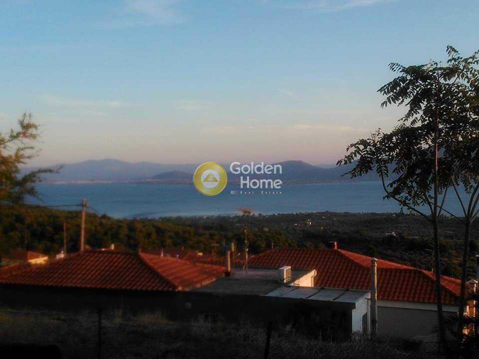 Οικόπεδο 770 τ.μ. προς πώληση, Νεροτριβιά