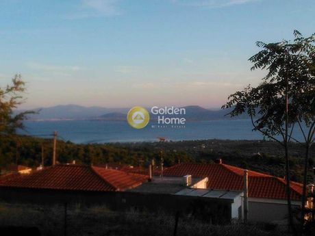 Land plot 770sqm for sale-Messapia » Nerotrivia