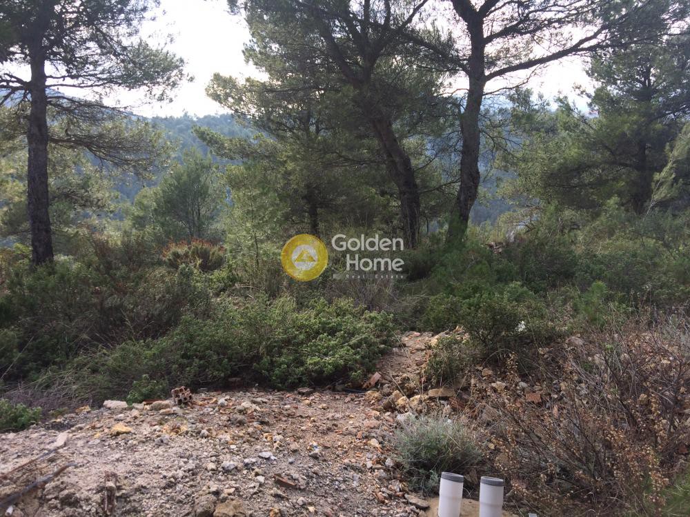 Μονοκατοικία 310 τ.μ. προς πώληση, Αγία Τριάδα Αφιδνών