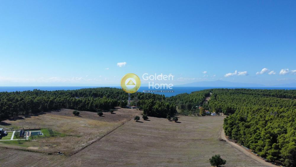 Αγροτεμάχια 7.125 τ.μ. προς πώληση, Σταυρός Κασσάνδρας