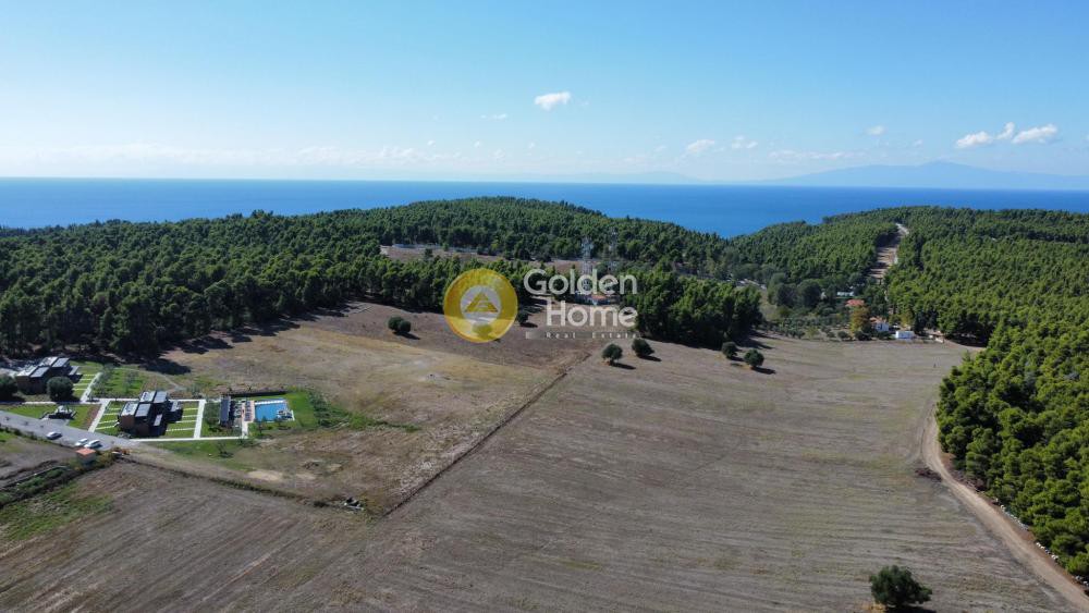 Αγροτεμάχια 7.125 τ.μ. προς πώληση, Σταυρός Κασσάνδρας