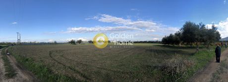 Parcel 11.000sqm for sale-Movri » Spaneika