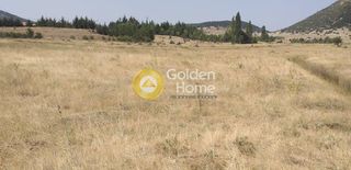 Αγροτεμάχια 5.324 τ.μ. για πώληση