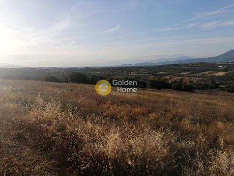 Αγροτεμάχια 8.900τ.μ. για πώληση-Κόρινθος » Αγία παρασκευή