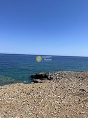 Οικόπεδο 32.000 τ.μ. για πώληση