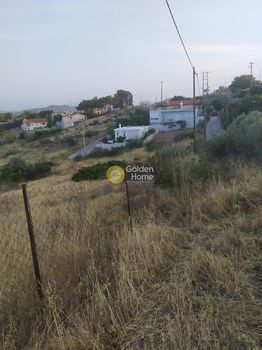 Αγροτεμάχια 1.784τ.μ. για πώληση-Ραφήνα » Καλλιτεχνούπολη