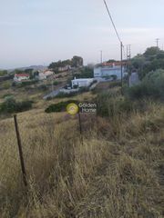 Αγροτεμάχια 1.784 τ.μ. για πώληση
