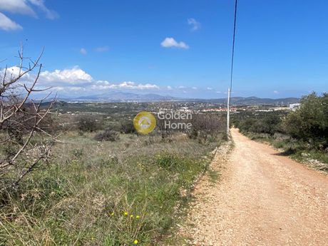 Οικόπεδο 5.300τ.μ. για πώληση-Μαρκόπουλο » Αγία τριάδα