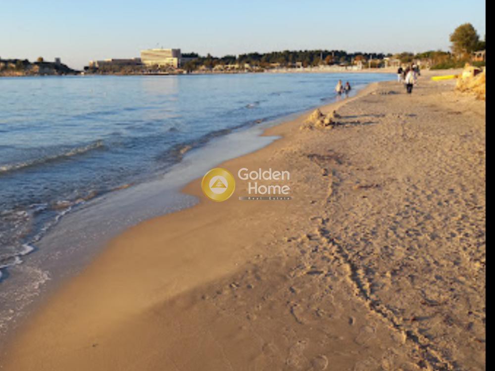 Αγροτεμάχια 11.900 τ.μ. προς πώληση, Σταυρός Κασσάνδρας