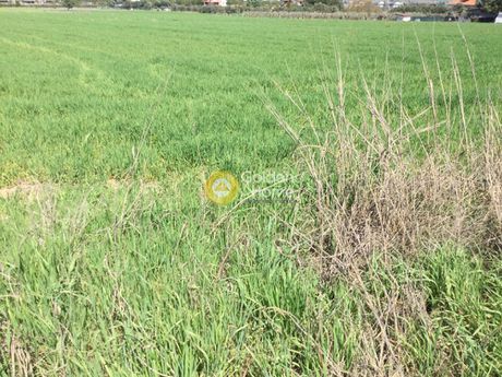 Parcel 11.000sqm for sale-Thermi » Souroti