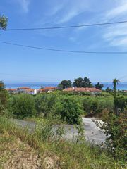 Αγροτεμάχια 11.000 τ.μ. για πώληση