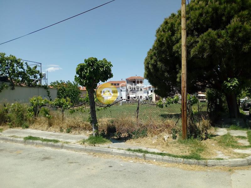 Οικόπεδο 1.297 τ.μ. πρός πώληση, Μαγνησία, Αγριά