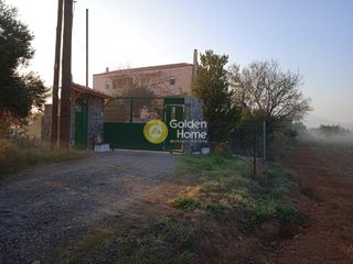 Μεζονέτα 330 τ.μ. προς πώληση, Άγιος Μηνάς Ανθηδώνος-thumb-22