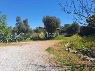 Μεζονέτα 330 τ.μ. προς πώληση, Άγιος Μηνάς Ανθηδώνος-thumb-29