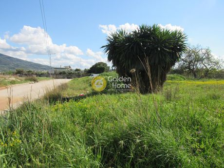 Land plot 2.936sqm for sale-Patra » Zarouchleika