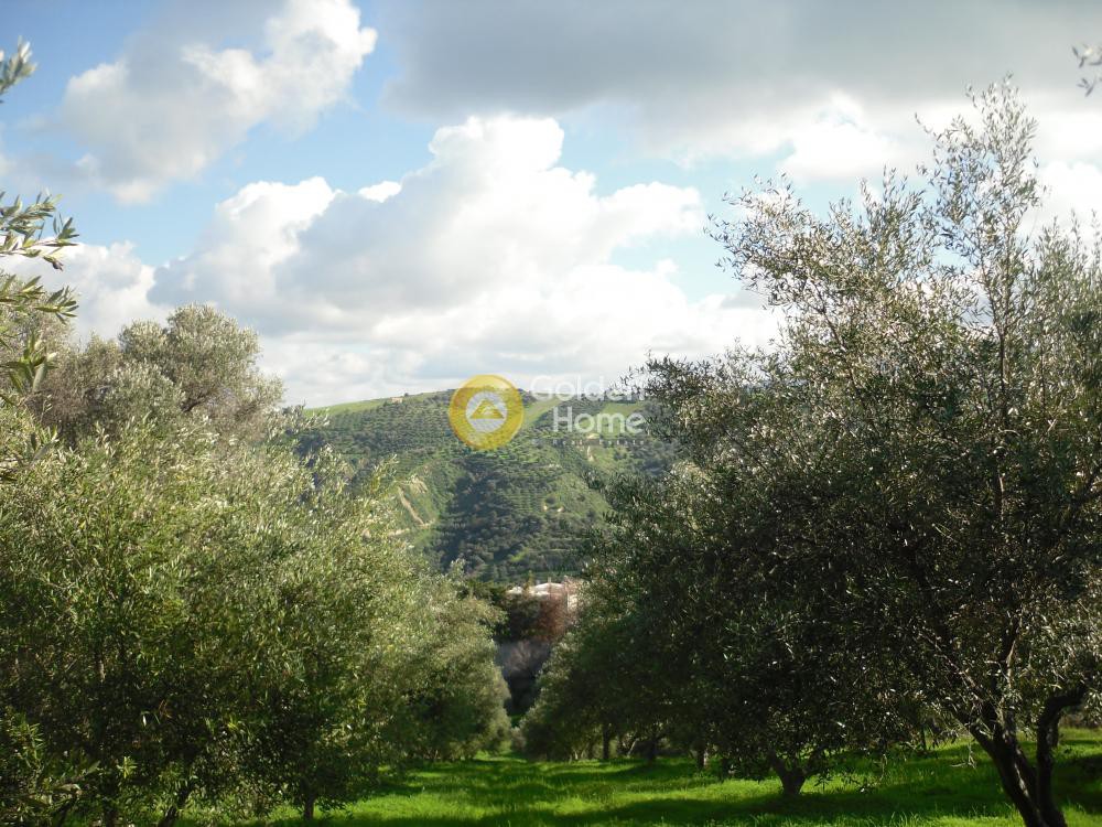 Οικόπεδο 1.200 τ.μ. προς πώληση, Γιοφυράκια