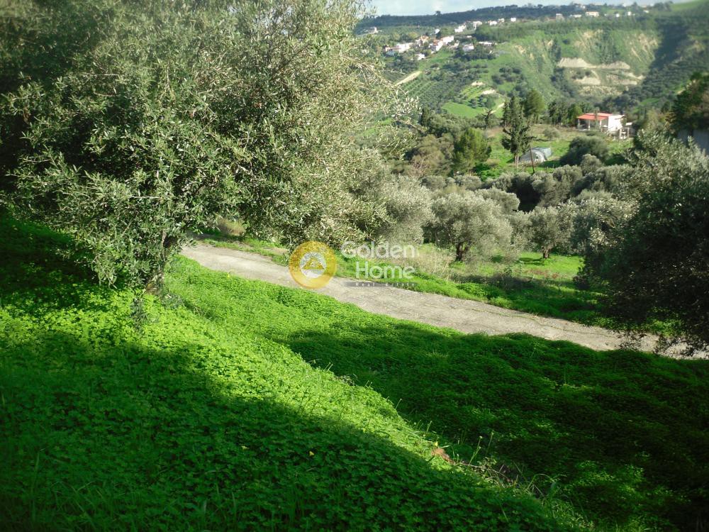 Οικόπεδο 1.200 τ.μ. προς πώληση, Γιοφυράκια