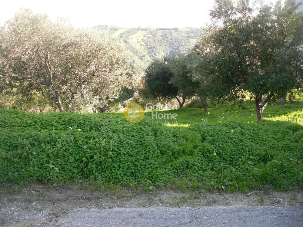 Οικόπεδο 1.200 τ.μ. προς πώληση, Γιοφυράκια