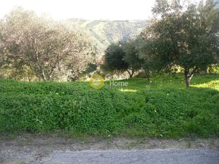 Οικόπεδο 1.200 τ.μ. για πώληση