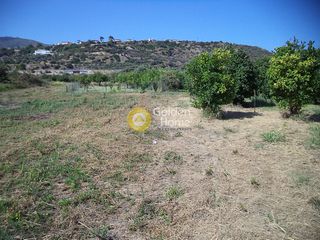 Οικόπεδο 741 τ.μ. για πώληση, Αχαΐα, Ακράτα-thumb-1