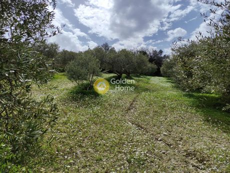 Land plot 5.211sqm for sale-Archanes » Vathipetro