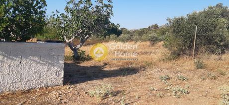 Αγροτεμάχια 1.750τ.μ. για πώληση-Παλαιά φώκαια » Κέντρο