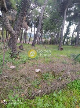 Land plot 1.570sqm for rent-Ekali