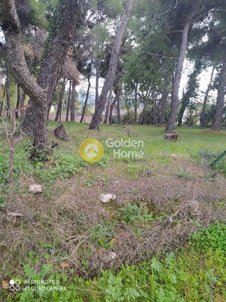 Οικόπεδο 1.570 τ.μ. για ενοικίαση, Αθήνα - Βόρεια Προάστια, Εκάλη