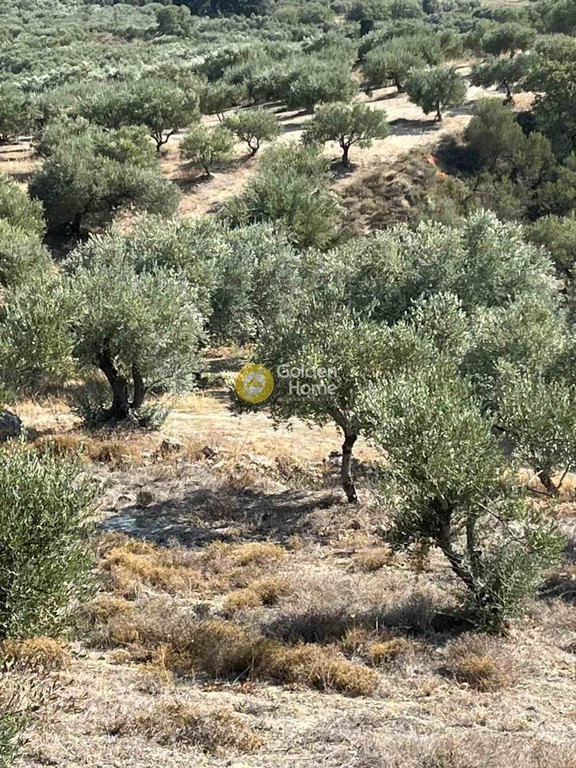 Οικόπεδο 7.000 τ.μ. πρός πώληση, Ν. Ρεθύμνου, Κουλουκώνας