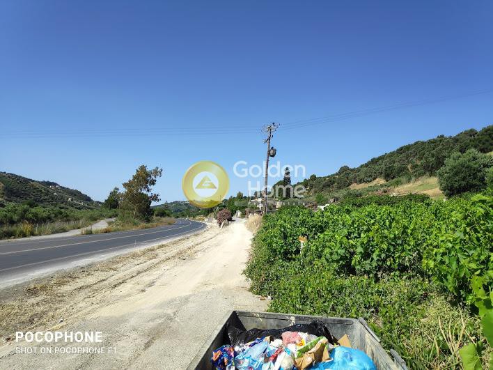 Οικόπεδο 5.950 τ.μ. προς πώληση, Αθάνατοι