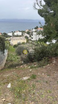 Land plot 1.048sqm for sale-Malesina » Theologos