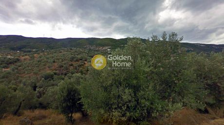Parcel 4.300sqm for sale-Poros » Lemonodasos